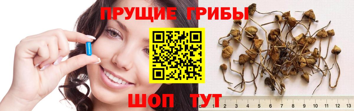 Зеленокумск  Псилоцибиновые грибы прущие грибы  Вход с VPN 